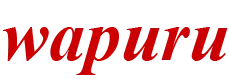 札幌のWEB制作・ホームページ作成|ワプル
